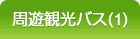 周遊観光バス(1)