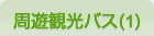 周遊観光バス(1)