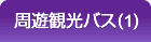 周遊観光バス(2)