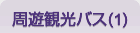 周遊観光バス(2)