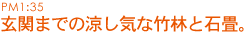玄関までの涼し気な竹林と石畳。