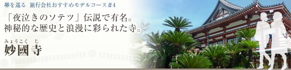 堺を巡る おすすめモデルコース＃4 『夜泣きのソテツ』伝説で有名。 神秘的な歴史と浪漫に彩られた寺。