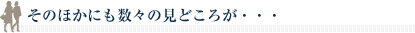 そのほかにも数々の見どころが・・・