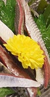 いわしのお造り