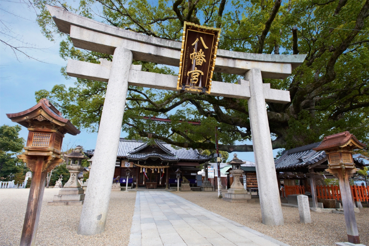 初公開の百舌鳥八幡宮